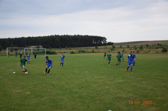 plewis 6